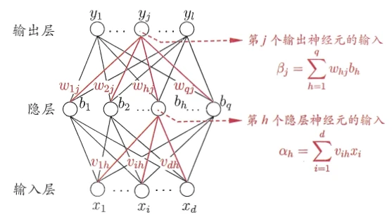 神经网络结构示意图