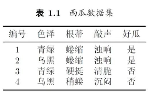 表1.1 西瓜数据集